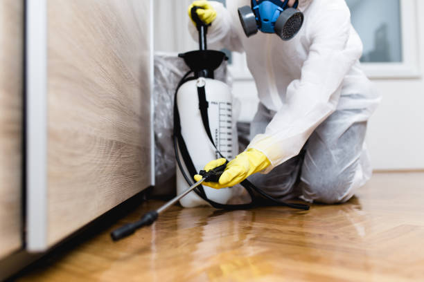 Best Flea Control Services  in Midland, TX