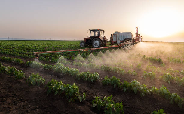 Best Pest Control Treatment  in Midland, TX