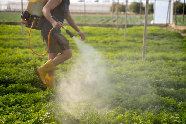 Best Affordable Pest Control Services  in Midland, TX
