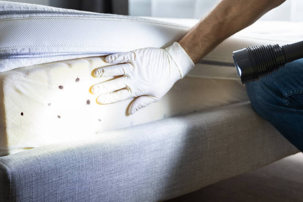 Best Wildlife Control Services  in Midland, TX