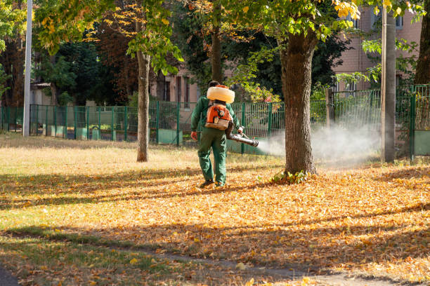 Reliable Midland, TX Pest Control Solutions