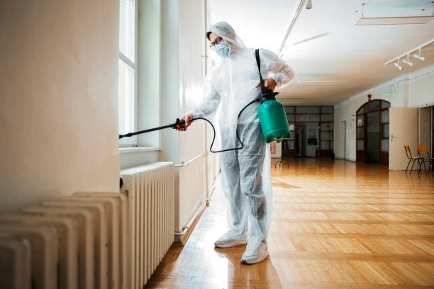 Best Wasp Removal Services  in Midland, TX
