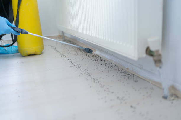 Best Best Pest Control Companies  in Midland, TX